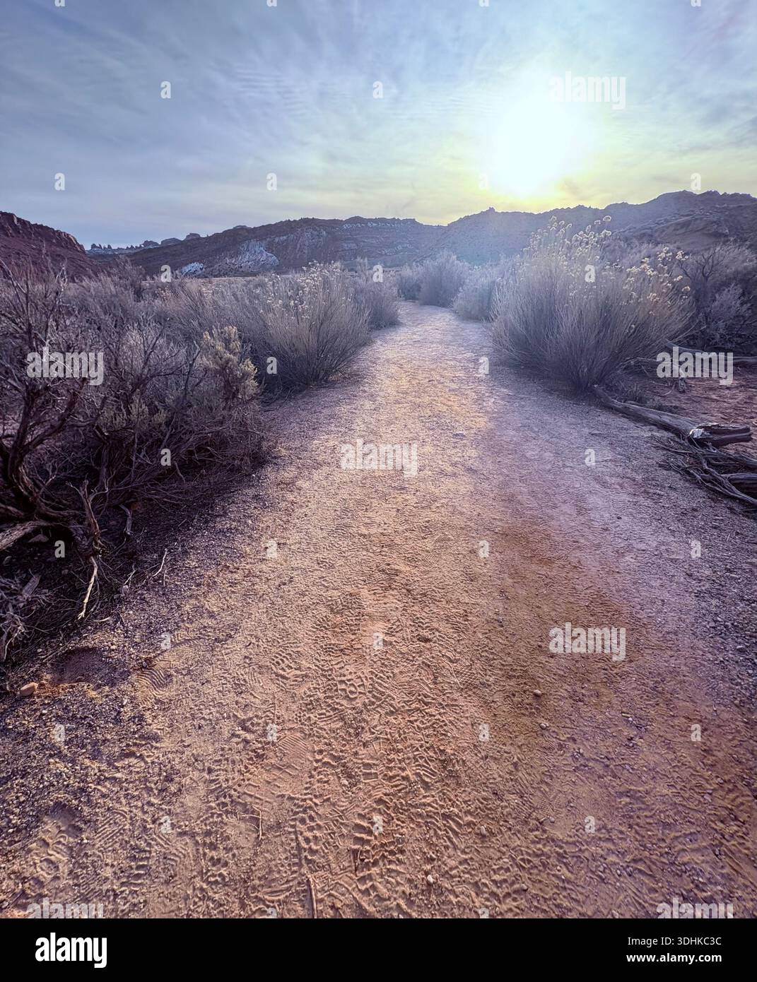 Nous apprécions la promenade fraîche du matin à travers les sentiers du sol du désert.janvier 2026 Moab Utah - Image de stock capturée avec un smartphone