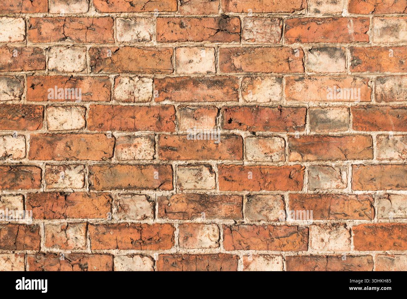 Maçonnerie traditionnelle Flamand Bond vue sur une maison à Carlisle, Angleterre, Royaume-Uni Banque D'Images