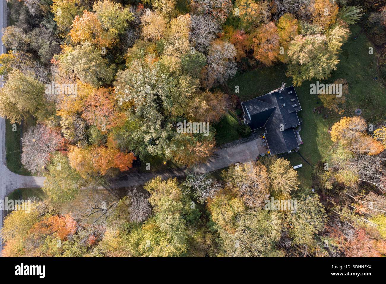 Vue de haut en bas par drone d'une maison entourée de forêt d'automne, mettant en évidence le feuillage d'automne, les motifs de la canopée des arbres et la relation entre la nature et R. Banque D'Images