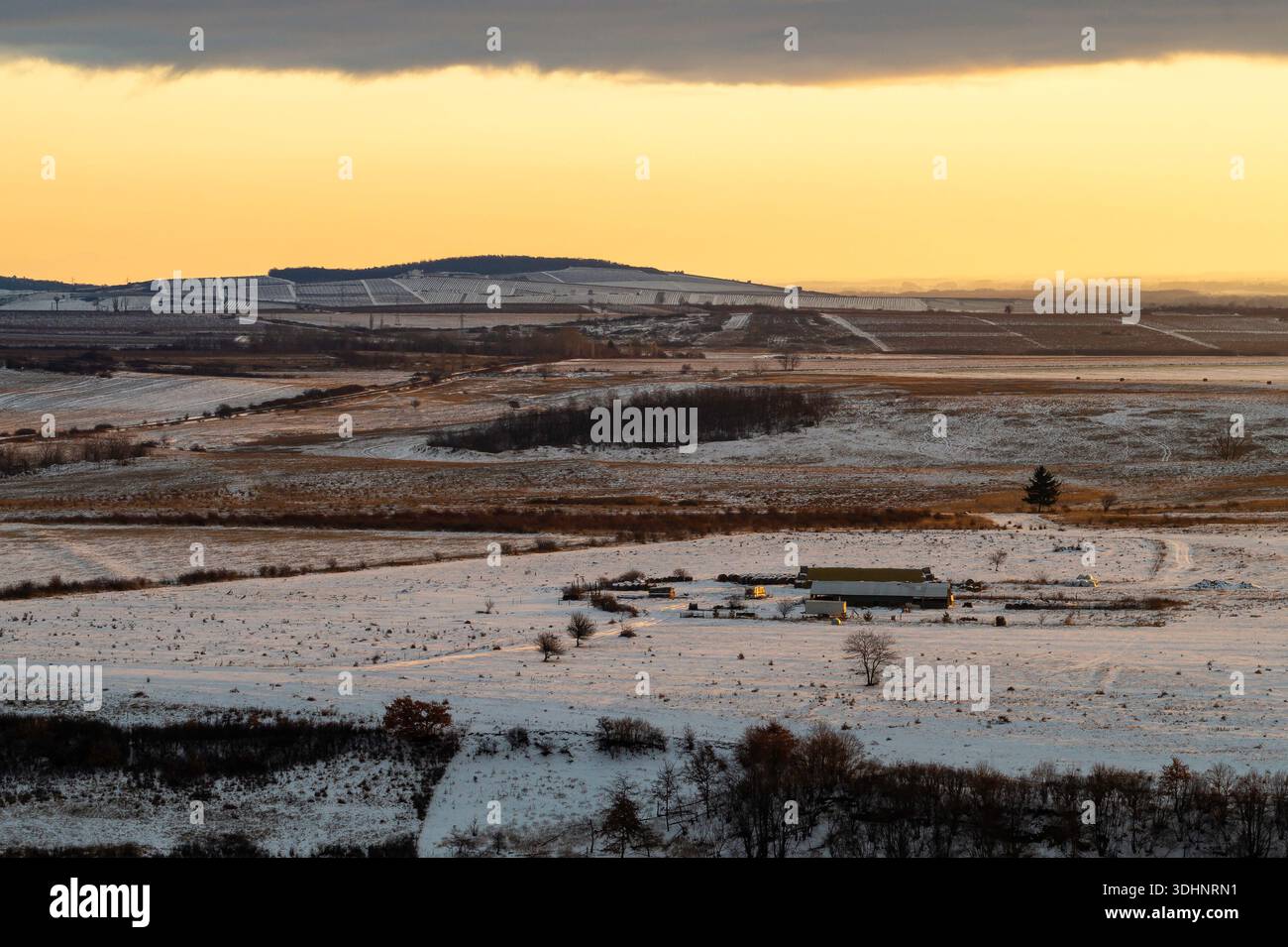 Champ d'hiver ensoleillé avec ferme enneigée et rangée d'arbres après le lever du soleil Banque D'Images