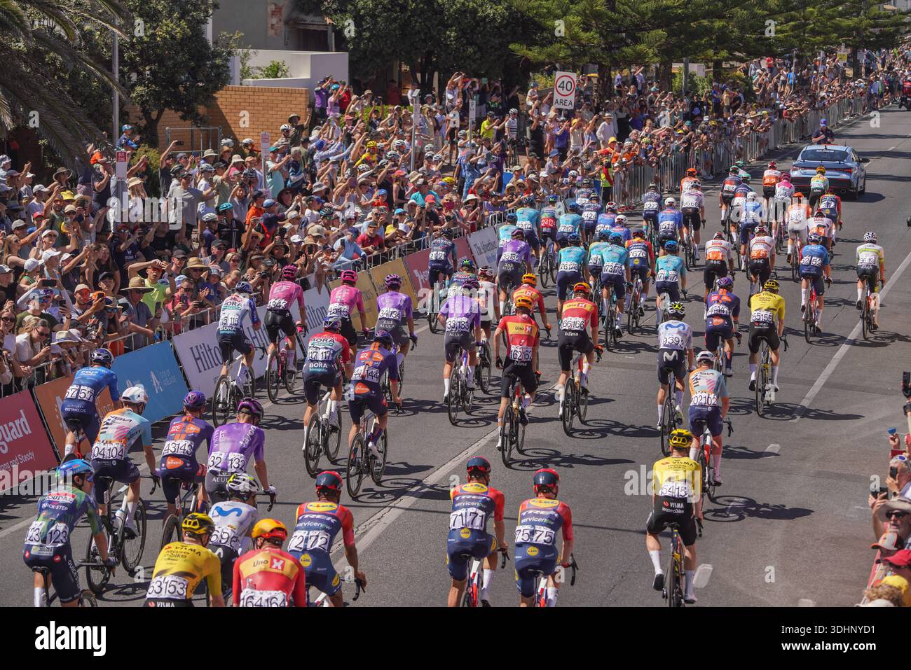 Henley, Adélaïde 23 janvier 2026 les coureurs de l'équipe se sont lancés au départ du Santos Tour Down Under - Ziptrak 140km Men's Stage 3 de Henley Beach à Banque D'Images