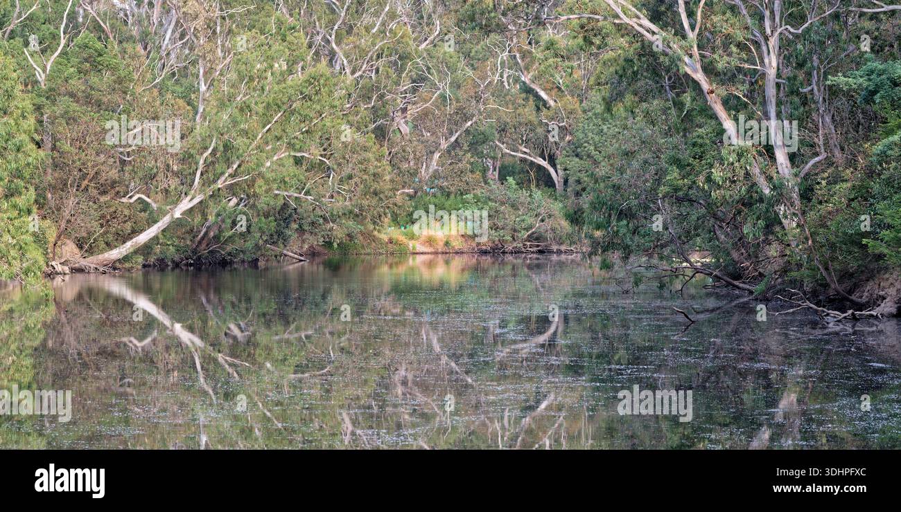 Calme sur la Yarra Banque D'Images