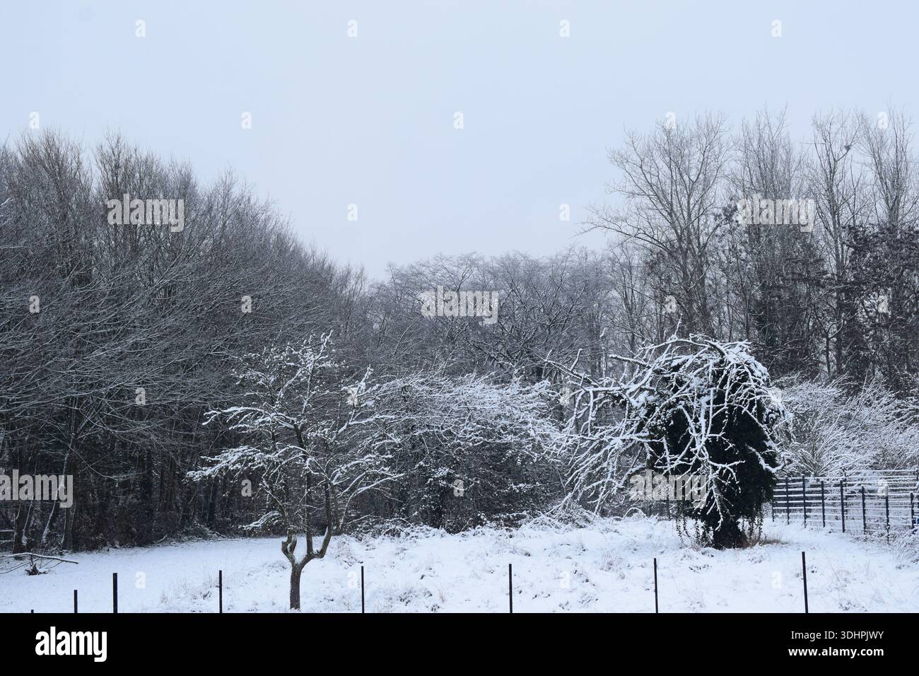 Jardin enneigé en France Banque D'Images