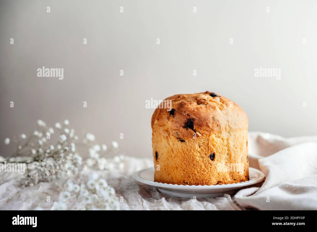 Gâteau de pâques rustique maison, panettone avec espace copie. Banque D'Images