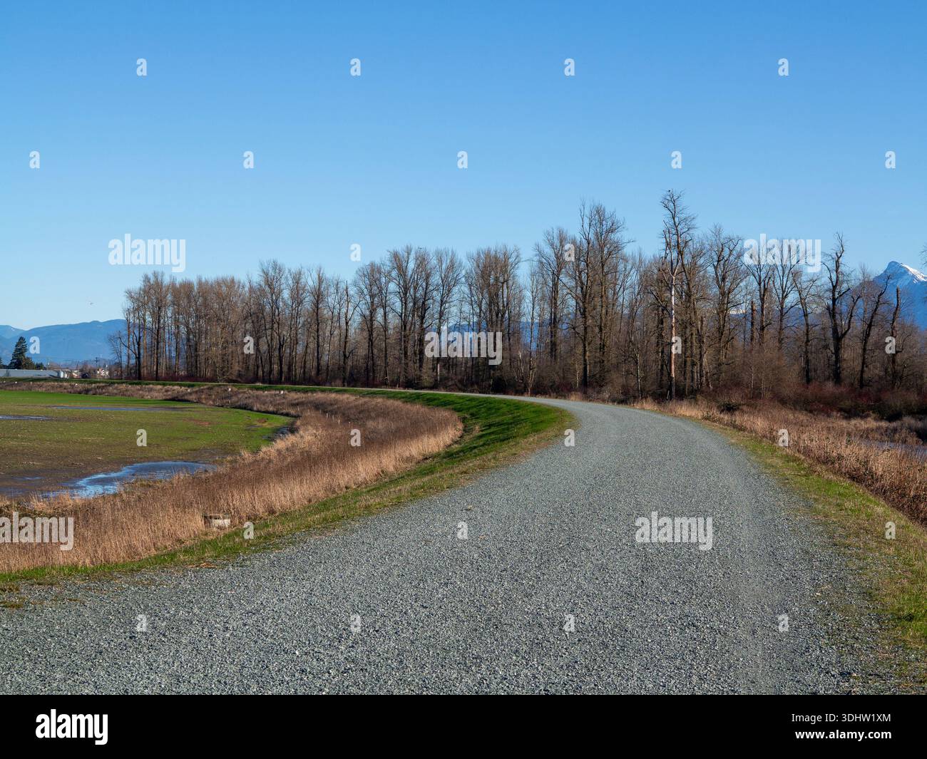 Chilliwack River Dyke Trail pendant l'hiver après les inondations Banque D'Images
