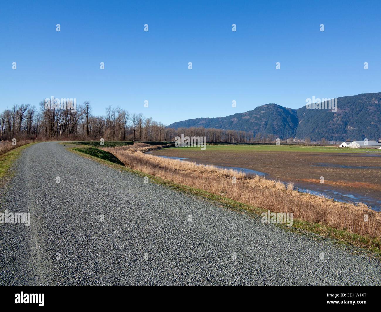 Chilliwack River Dyke Trail pendant l'hiver après les inondations Banque D'Images