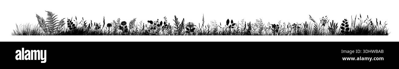 Silhouette de l'horizon de l'herbe. Bordure, printemps de prairie, dessiné à la main. Pas ai, illustration vectorielle Illustration de Vecteur