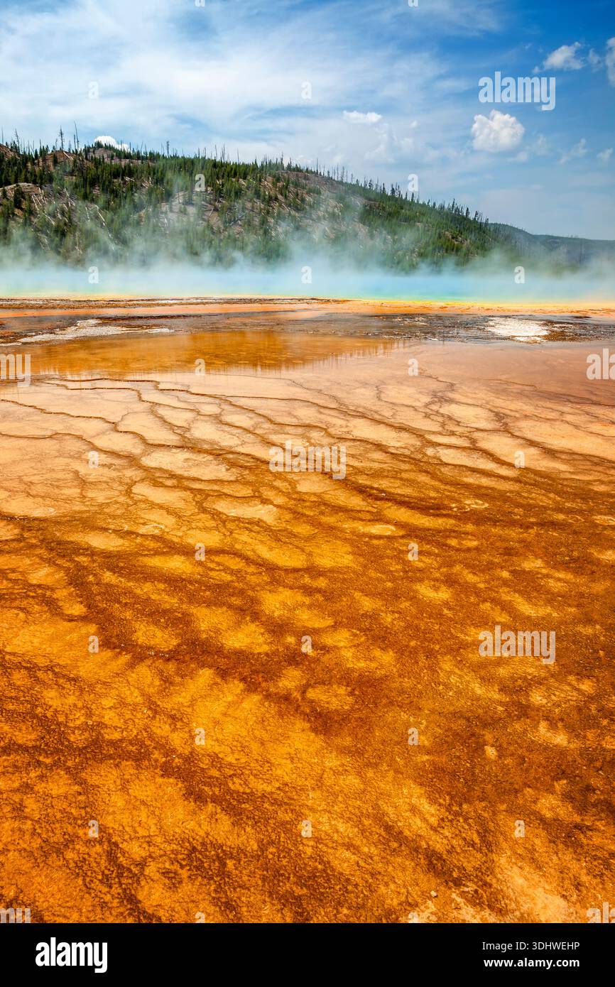 Tapis de bactéries colorées entourant Grand Prismatic Spring, Midway Geyser Basin, Parc National de Yellowstone, Wyoming Banque D'Images