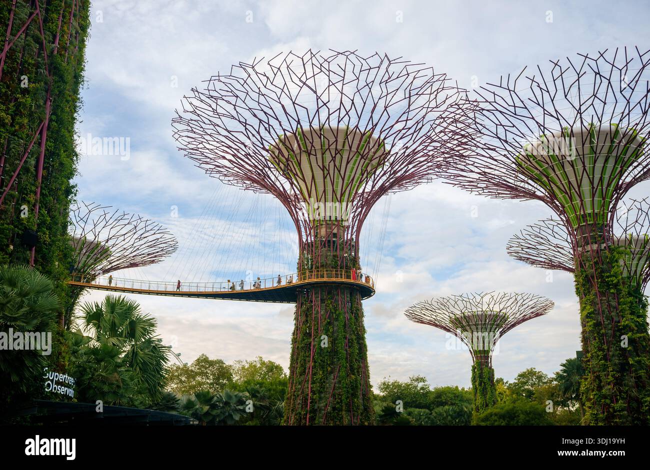 L'emblématique Gardens by the Bay Singapore Asia avec des gens sur la passerelle de la terrasse d'observation alors que le soleil se couche en attendant les arbres pour prendre vie Banque D'Images