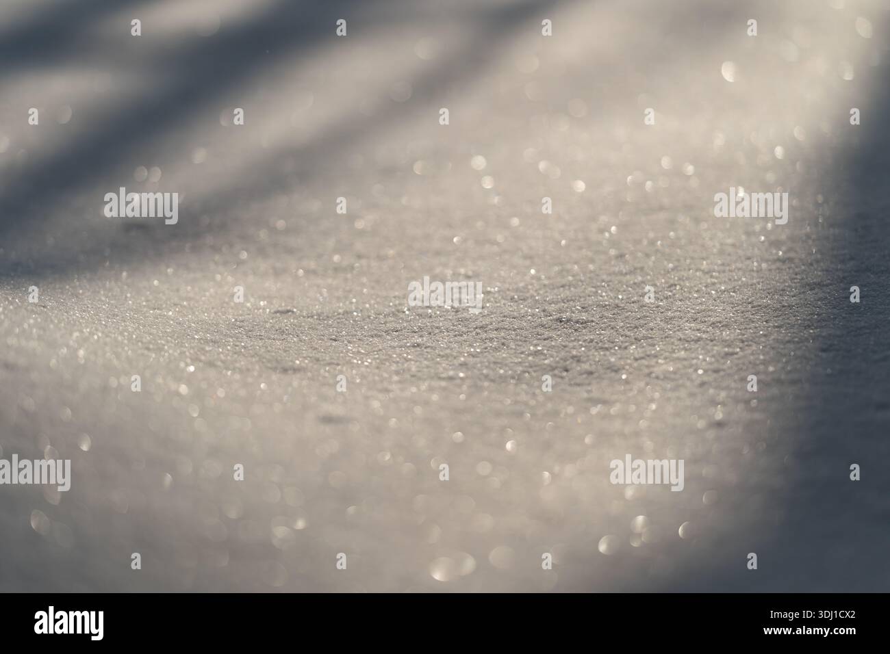 Surface de neige étincelante avec bokeh doux, délicats flocons cristallins captant la lumière du matin. De subtiles lignes d'ombre traversent une pente poudreuse, créant un calme Banque D'Images