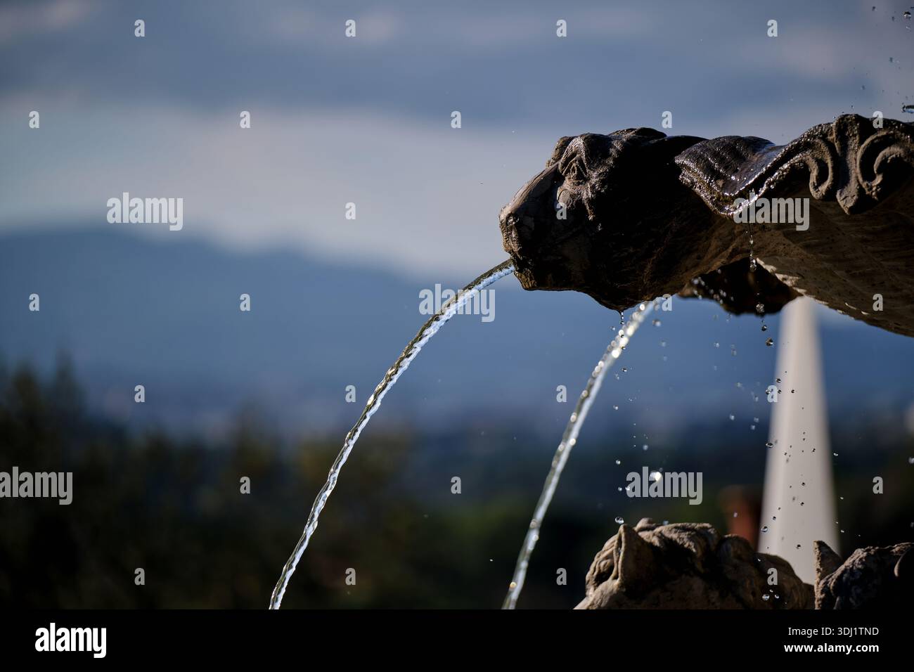 L'eau rafraîchissante coule gracieusement d'une fontaine en pierre ornée, sculptée avec une tête d'animal décorative, créant des éclaboussures délicates. Banque D'Images