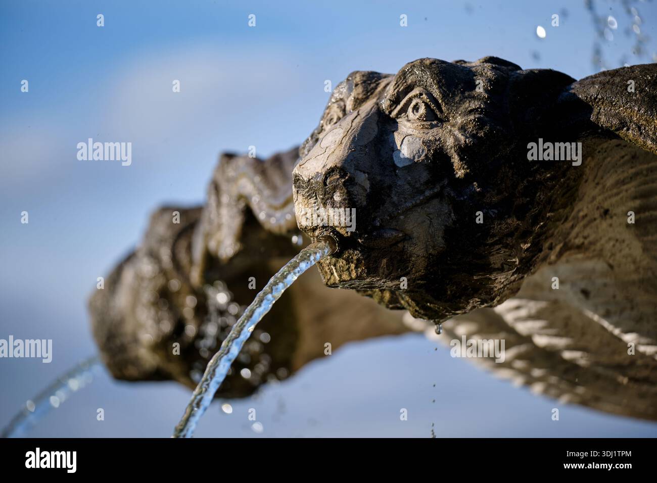 L'eau coule de l'embouchure d'une sculpture en pierre altérée, ressemblant à un lion ou à une bête fantastique, faisant partie d'une fontaine extérieure sous un cercle Banque D'Images