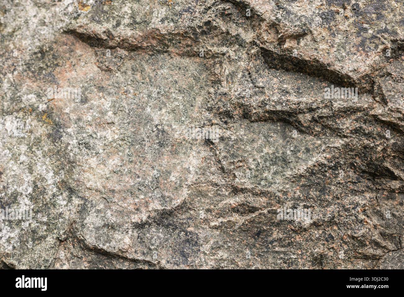 Une vue rapprochée d'une surface rocheuse montre divers motifs et textures. La lumière du soleil met en évidence les bords rugueux et les formations uniques. Ceci est courant dans o Banque D'Images