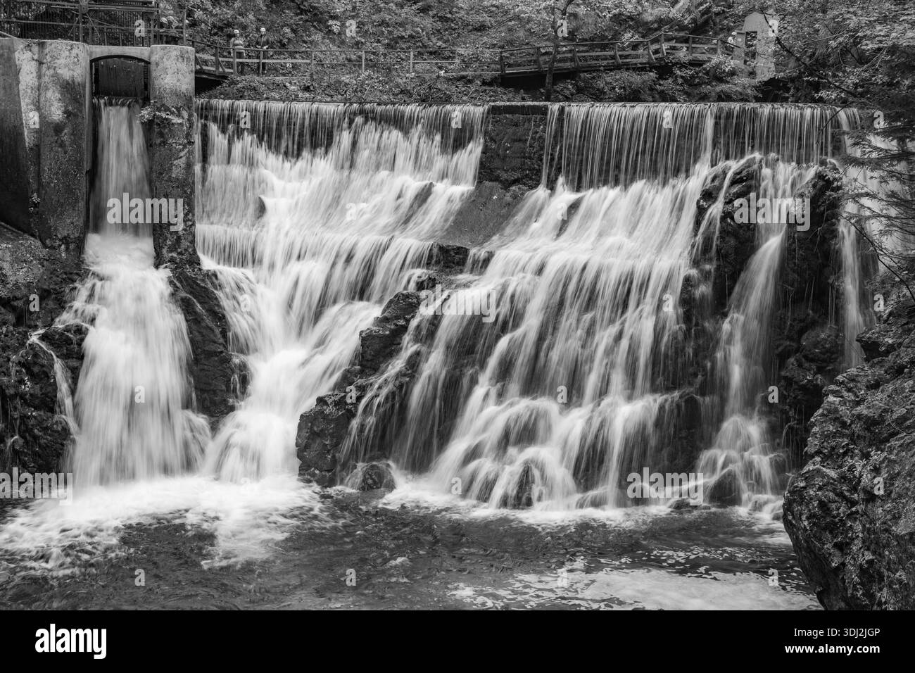 Cascade de Šum, gorge de Vintgar, Bled, Slovénie Banque D'Images