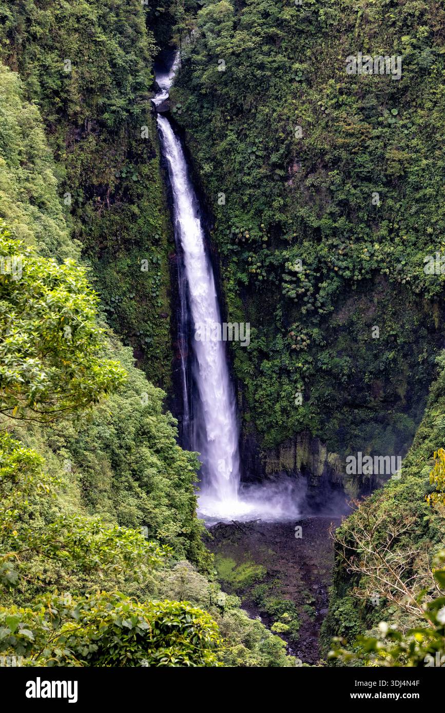 Cascade de San Fernando - près de Cinchona, province d'Alajuela, Costa Rica Banque D'Images