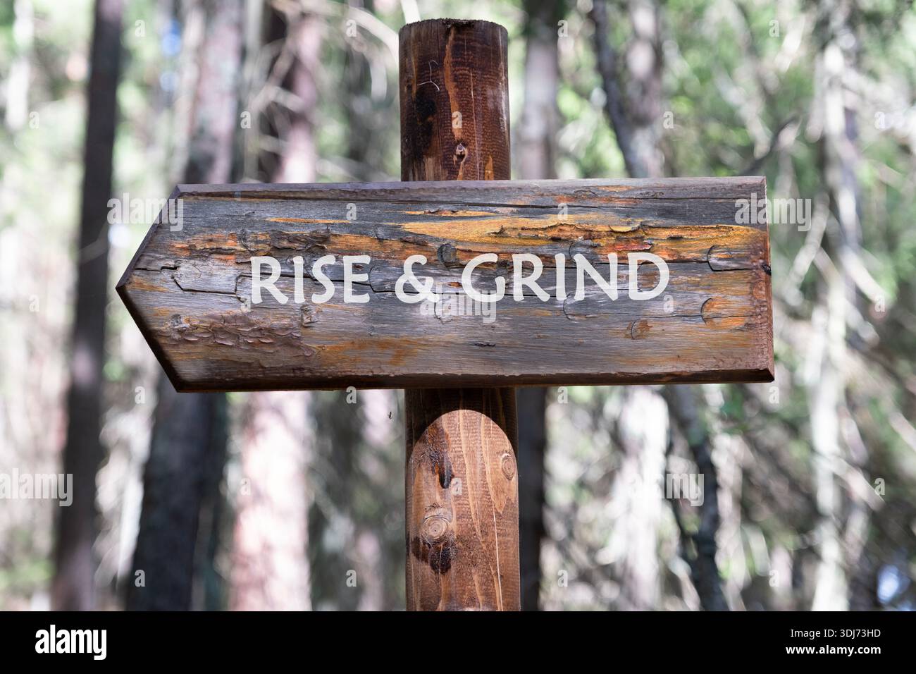 Les flèches en bois vieilli pointent à gauche avec Rise and Grind écrit dessus. Le signe se tient fermement sur un poteau dans une forêt verte, entouré par t Banque D'Images