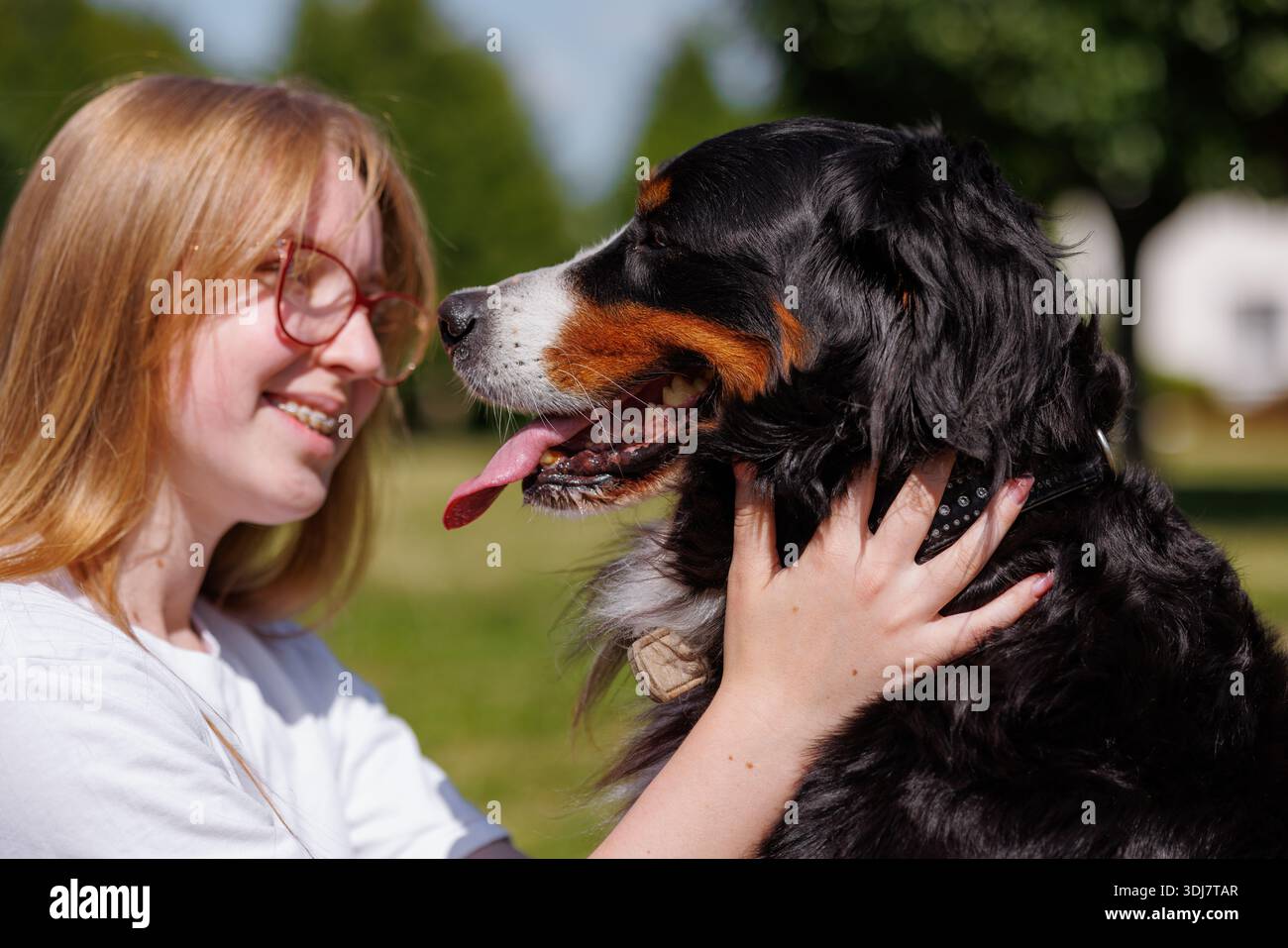 Une fille blonde caresse son chien de montagne bernois dans un parc ensoleillé, montrant leur lien affectueux et le plaisir du moment Banque D'Images