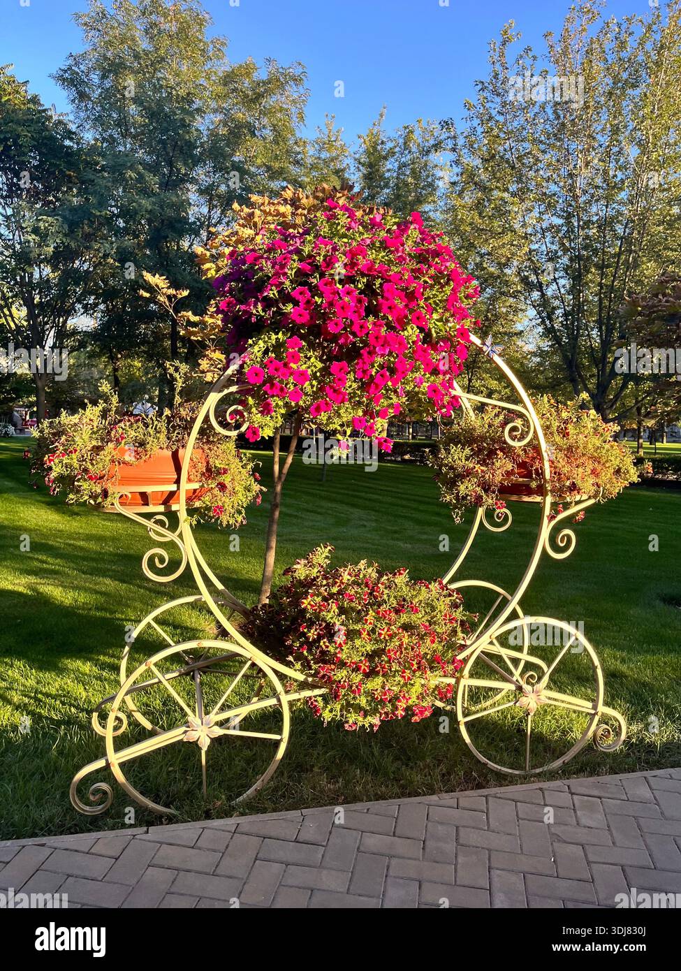Arrangement floral décoratif en forme de chariot avec des pétunias colorés en fleurs dans un parc de la ville par une journée ensoleillée. - Image de stock capturée avec un smartphone