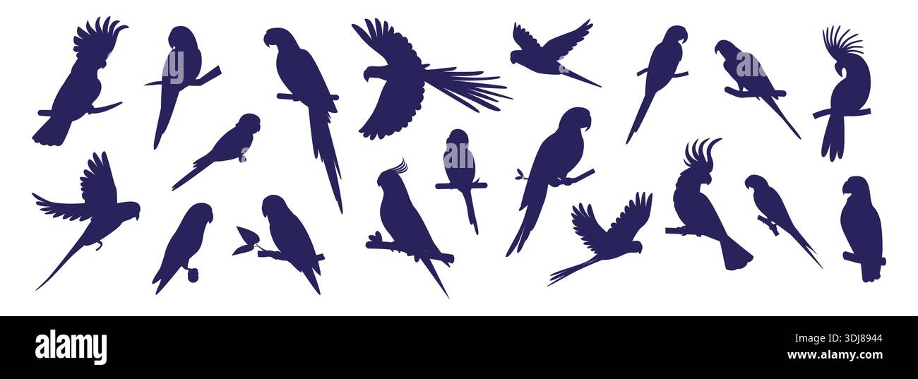 Silhouette de perroquet. Oiseau d'aras, animal perruche volant ou cockatiel exotique de la jungle. Caraïbes, Brésil ara dessin de plume, objets noirs nature pour logo et emblèmes. Jeu d'icônes isolées de style plat de vecteur Illustration de Vecteur