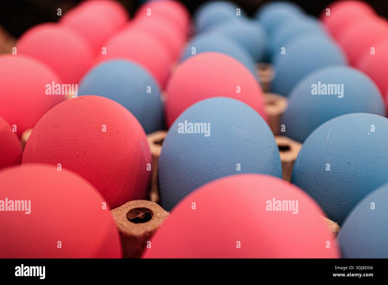 Œufs pastel minimalistes en rose et bleu doux disposés soigneusement dans un carton, idéaux pour les thèmes modernes de Pâques et le style de vie. Banque D'Images