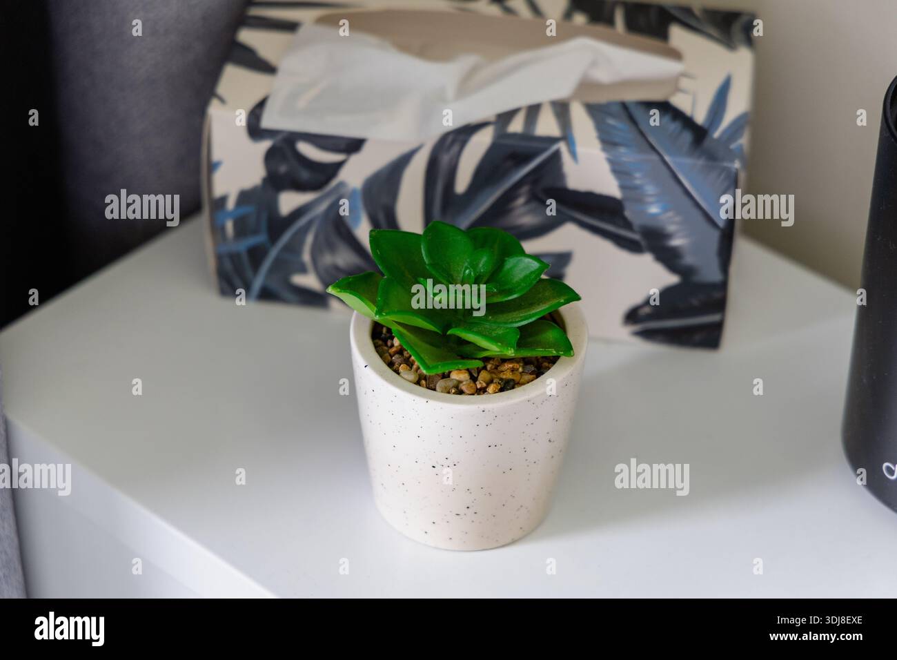 Pot en céramique blanc végétal vert sucré Banque D'Images