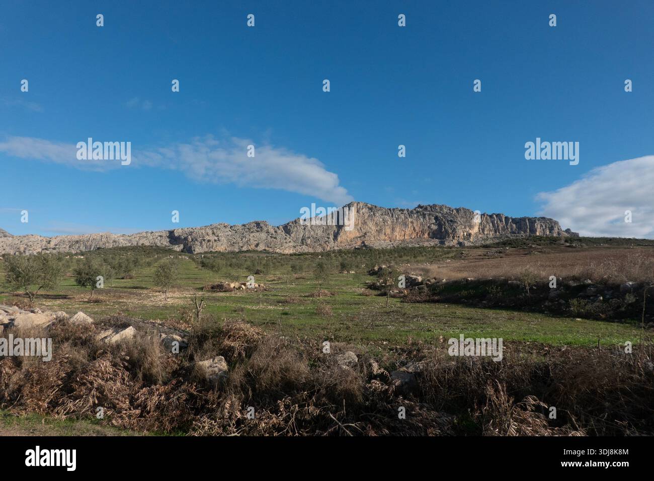 Vue sur la réserve naturelle El Torcal de Antequera, Andalousie, Espagne Banque D'Images