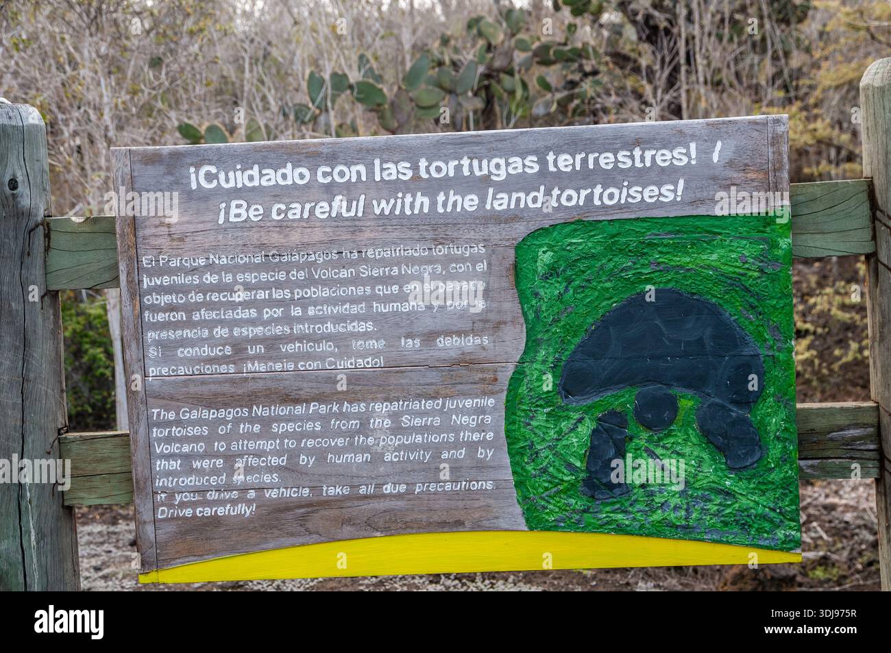 Panneau d'avertissement pour protéger les tortues des Galapagos, conduisez prudemment, Isabela Island, Galapagos Islands, Équateur Banque D'Images