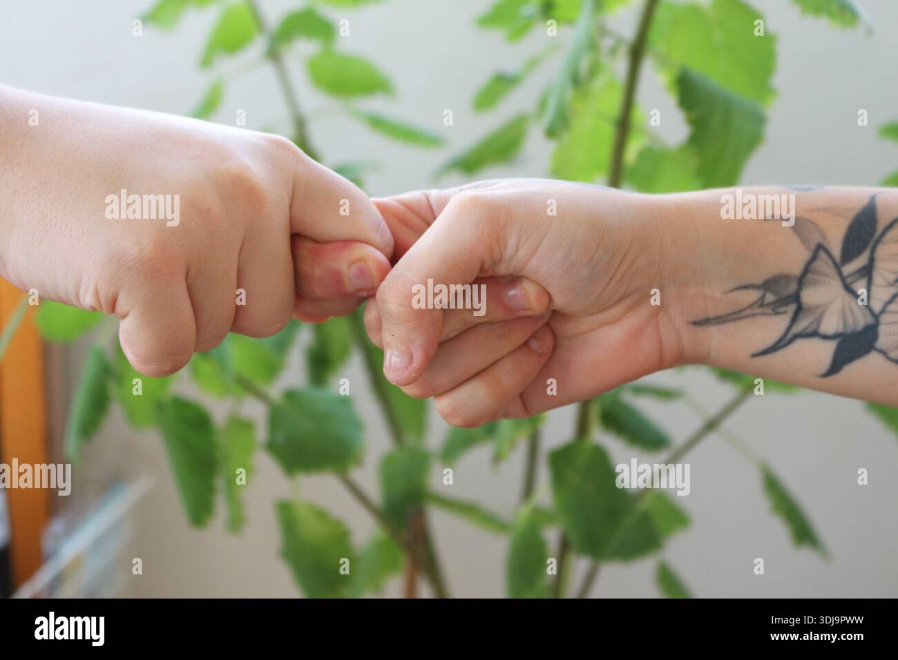 La chaleur de la connexion humaine : gros plan des mains tatouées et des avant-bras de deux femmes dans un toucher de soutien, Brasil. Banque D'Images