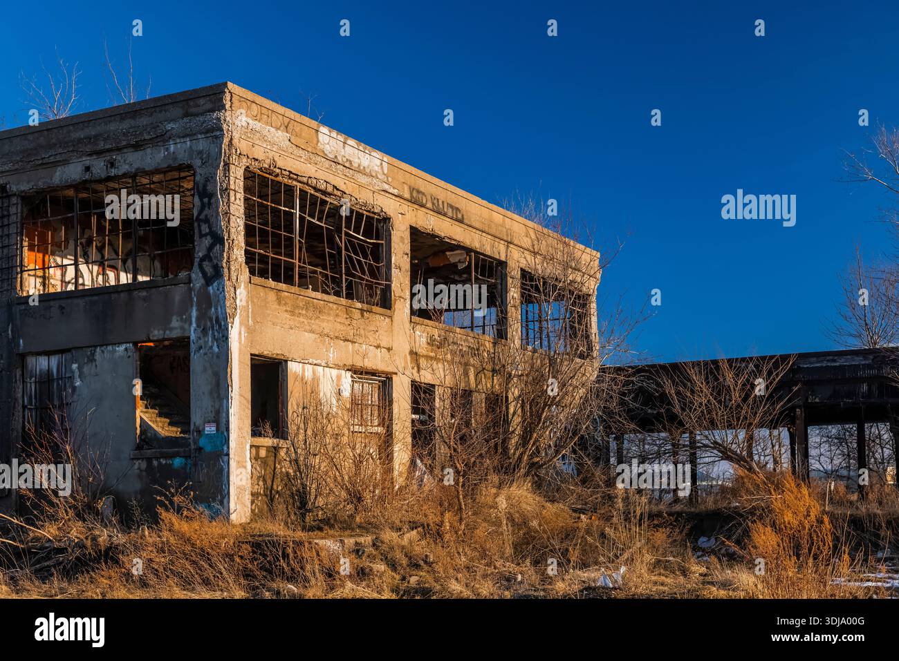 Ruines du terminal central de Buffalo à Buffalo, New York, États-Unis [pas de publication ; licence éditoriale uniquement] Banque D'Images