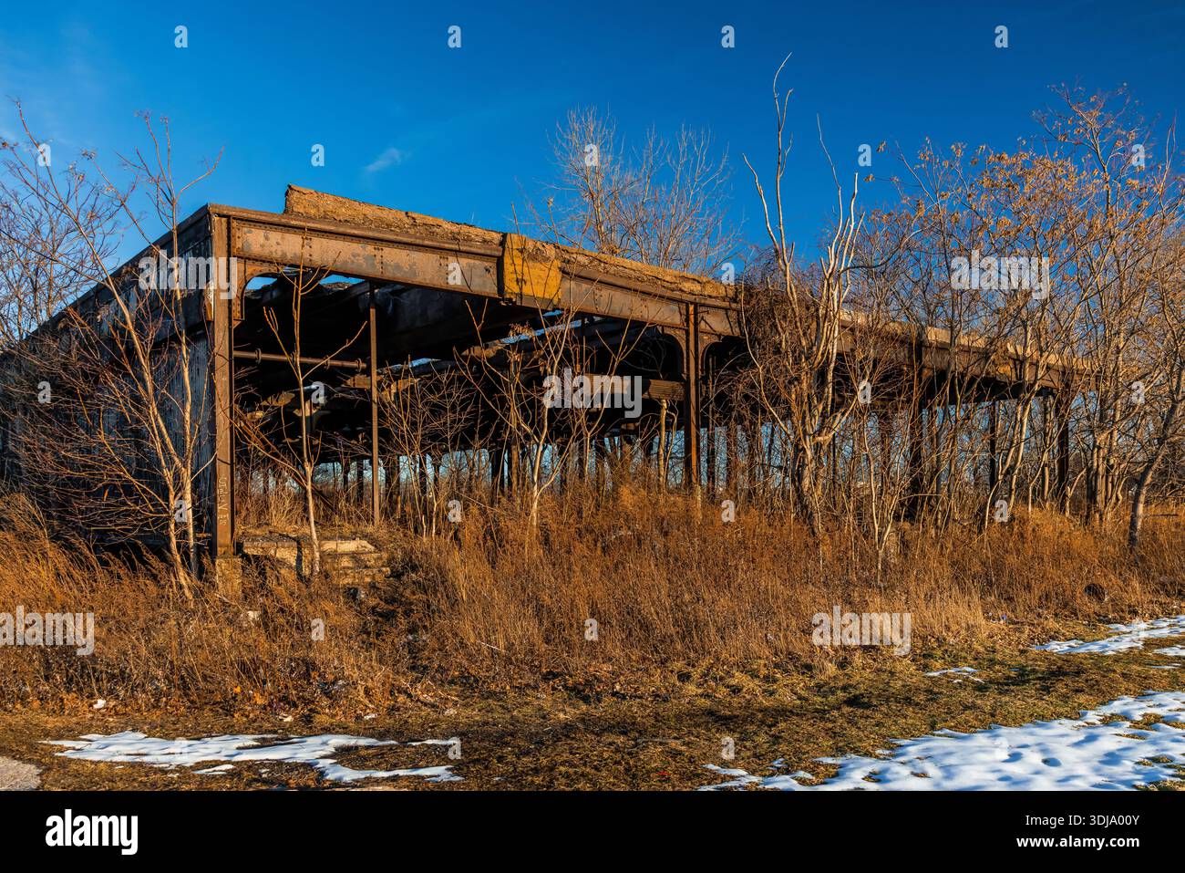 Ruines du terminal central de Buffalo à Buffalo, New York, États-Unis [pas de publication ; licence éditoriale uniquement] Banque D'Images