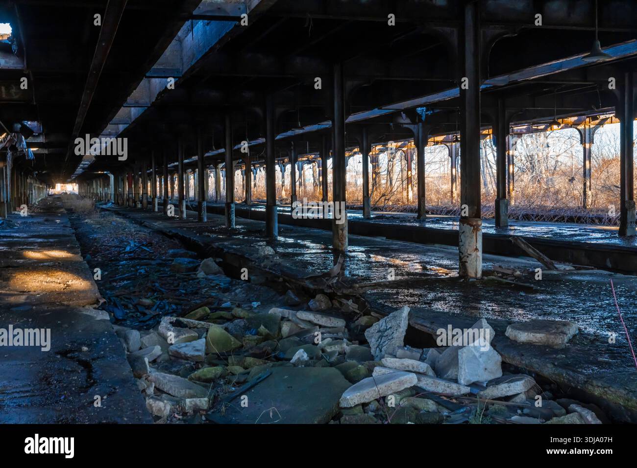 Ruines du terminal central de Buffalo à Buffalo, New York, États-Unis [pas de publication ; licence éditoriale uniquement] Banque D'Images