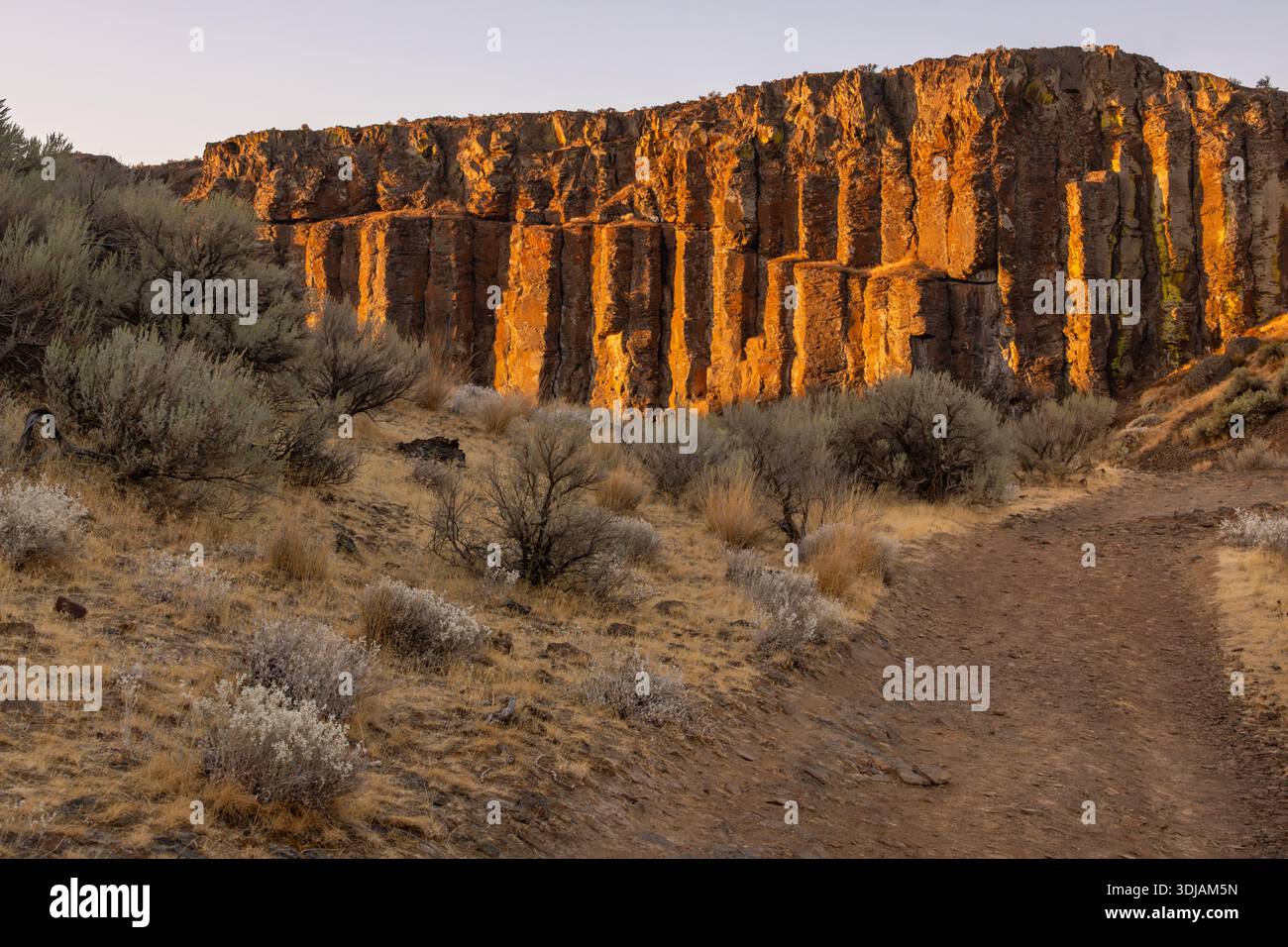 Le chemin de terre mène aux colonnes de basalte à Frenchman Coulee Washington Banque D'Images