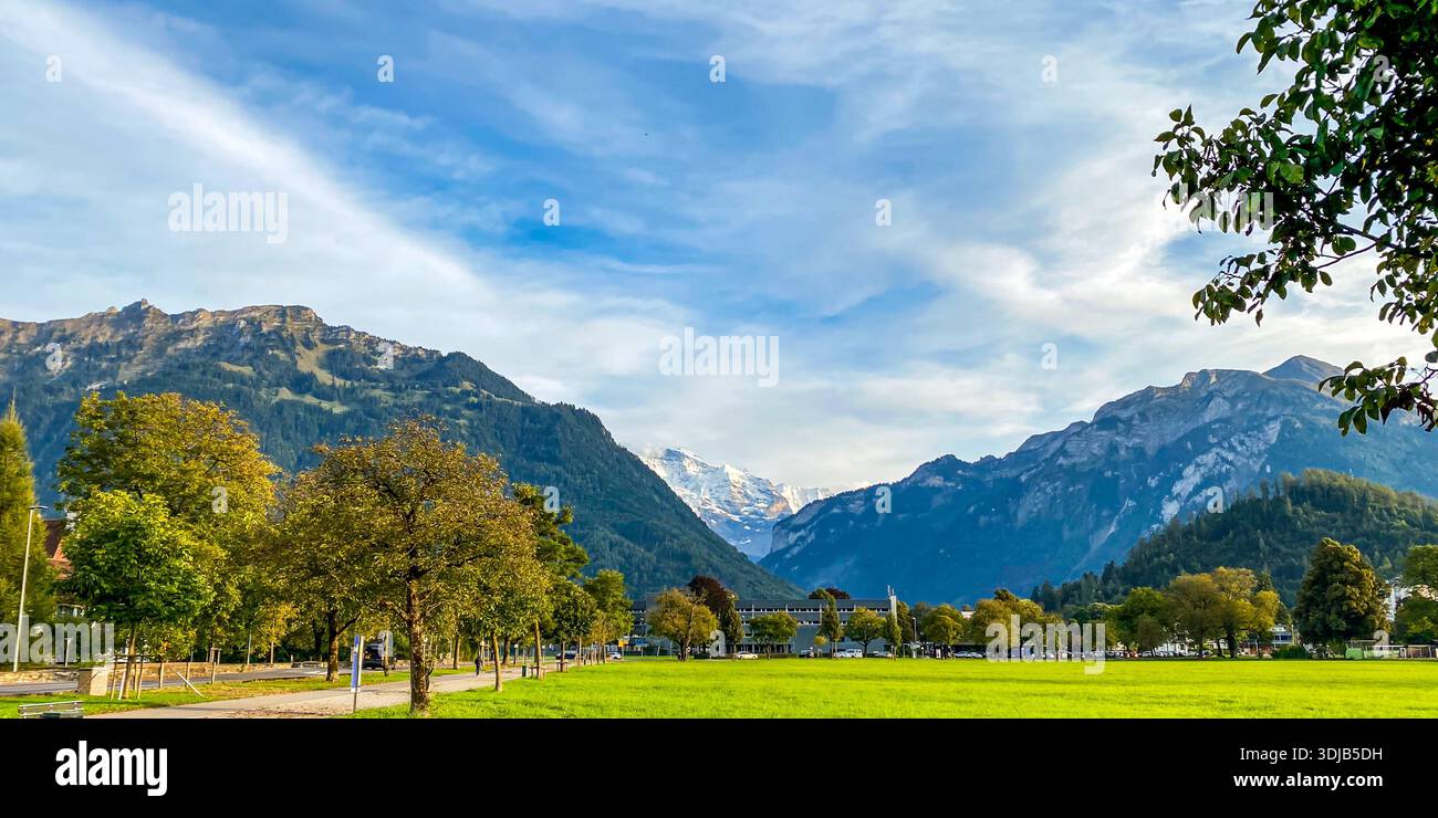 Vue panoramique sur le pré de Höhematte à Interlaken, Suisse. L'image est naturellement encadrée par des branches d'arbre sur la droite, regardant Ove - Image de stock capturée avec un smartphone