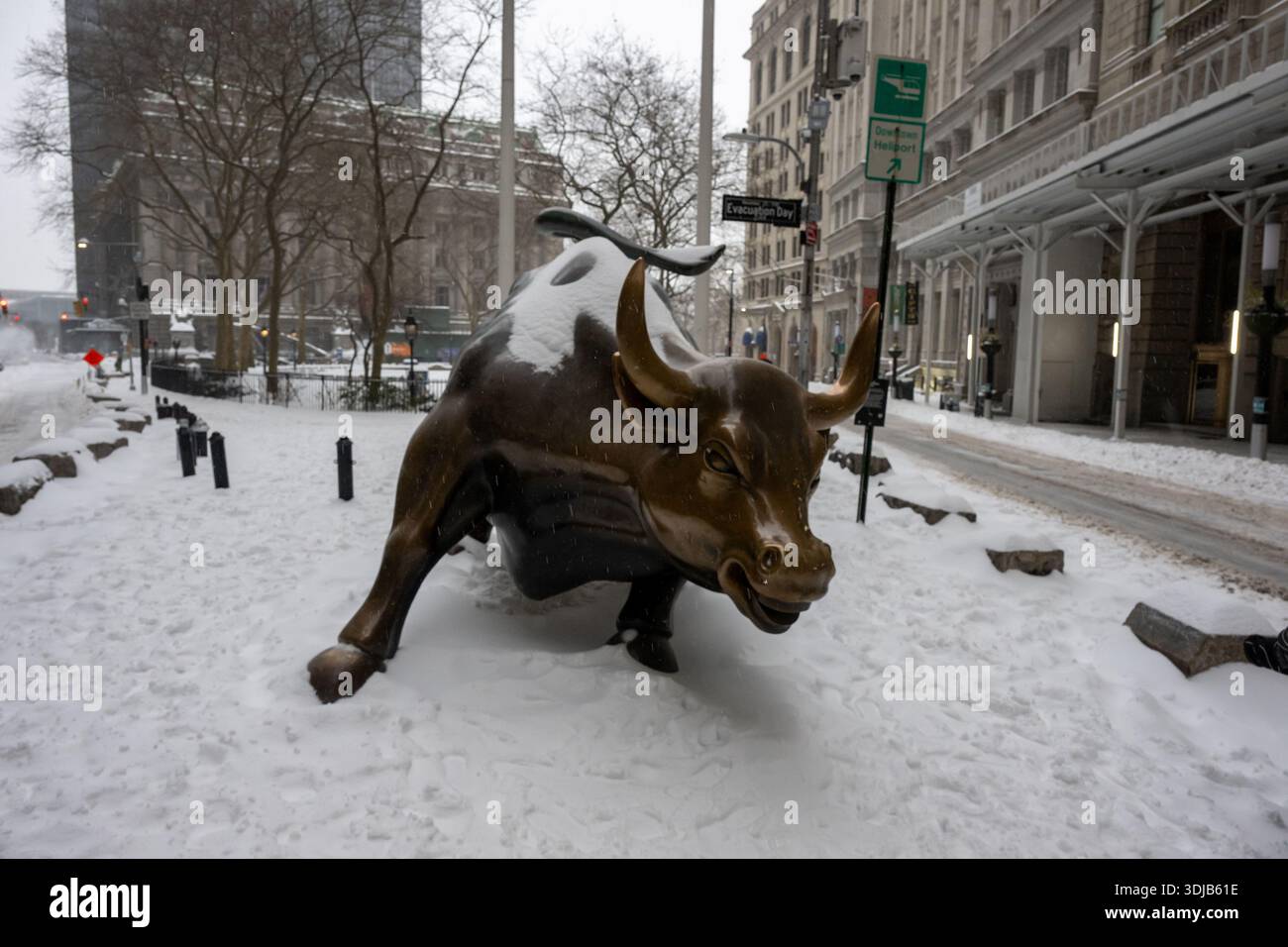 New York, États-Unis. 25 janvier 2026. Le Wall Street Bull vu comme la neige tombe dans le quartier financier le 25 janvier 2026 à New York. Crédit : SOPA images Limited/Alamy Live News Banque D'Images