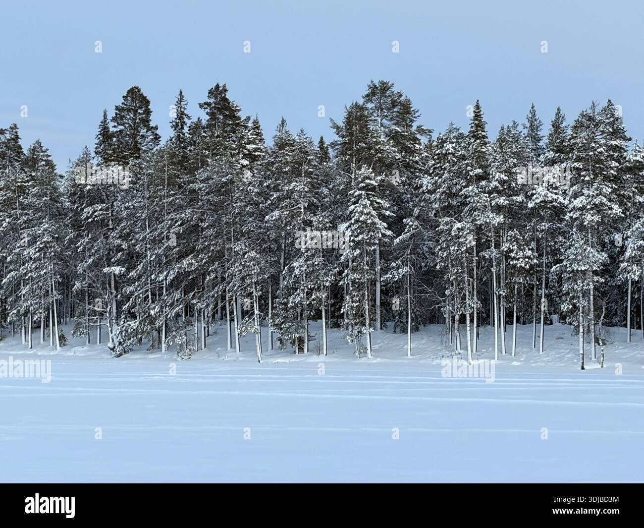 Paysage de Laponie - Image de stock capturée avec un smartphone