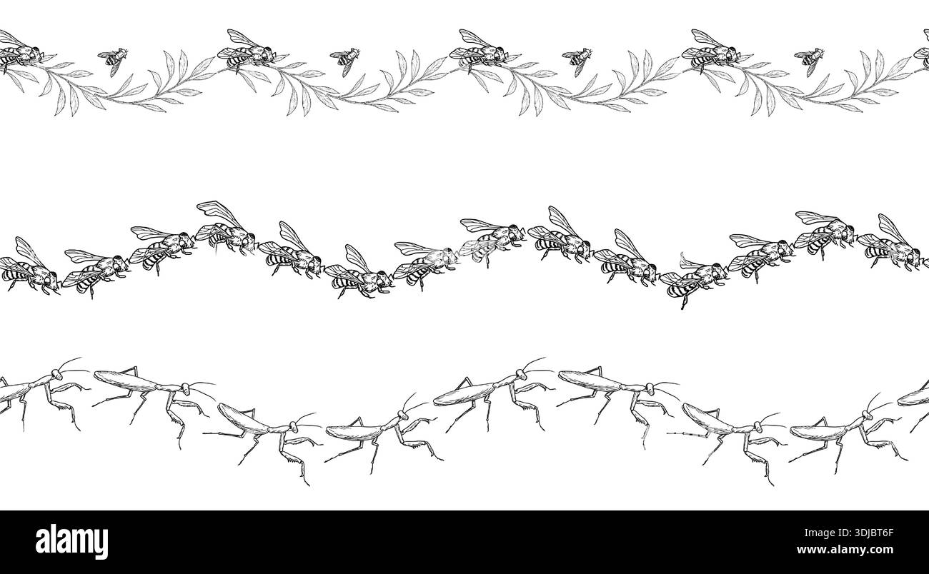 Des abeilles, des bourdons et une mante priante sur une bordure sans couture. Illustration vectorielle. Insectes volants, isolés sur fond blanc. Convient pour voiture postale Illustration de Vecteur