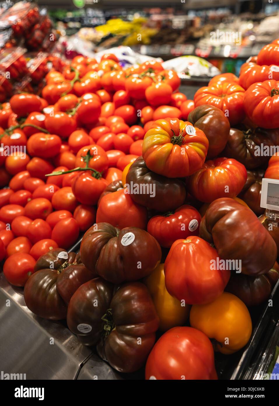 Gros plan de la variété de tomates sur une étagère dans l'épicerie. Banque D'Images
