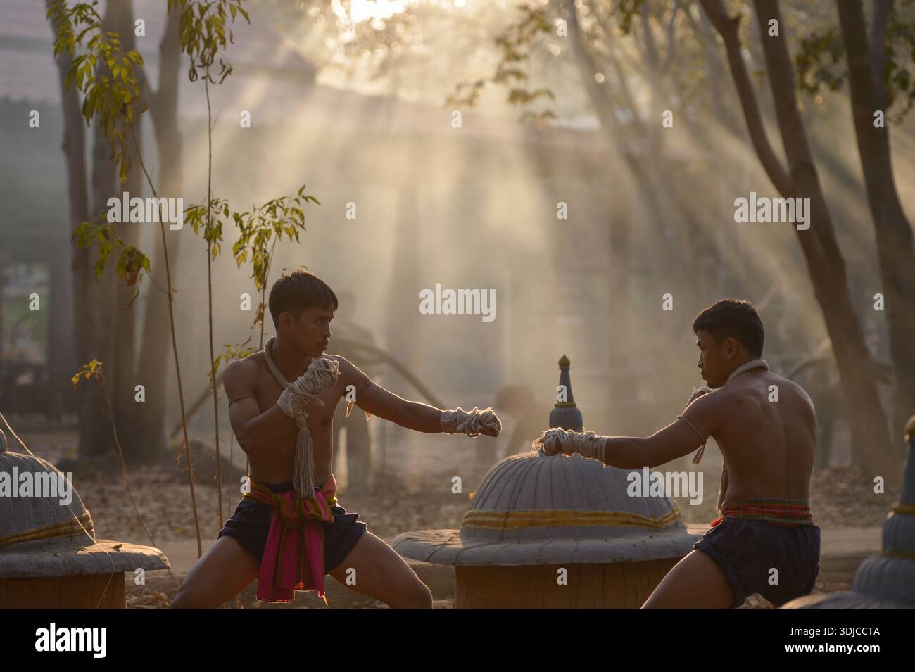 Vue de côté de deux boxeurs Muay Thai combattant à l'extérieur près d'un temple forestier au coucher du soleil, Thaïlande Banque D'Images