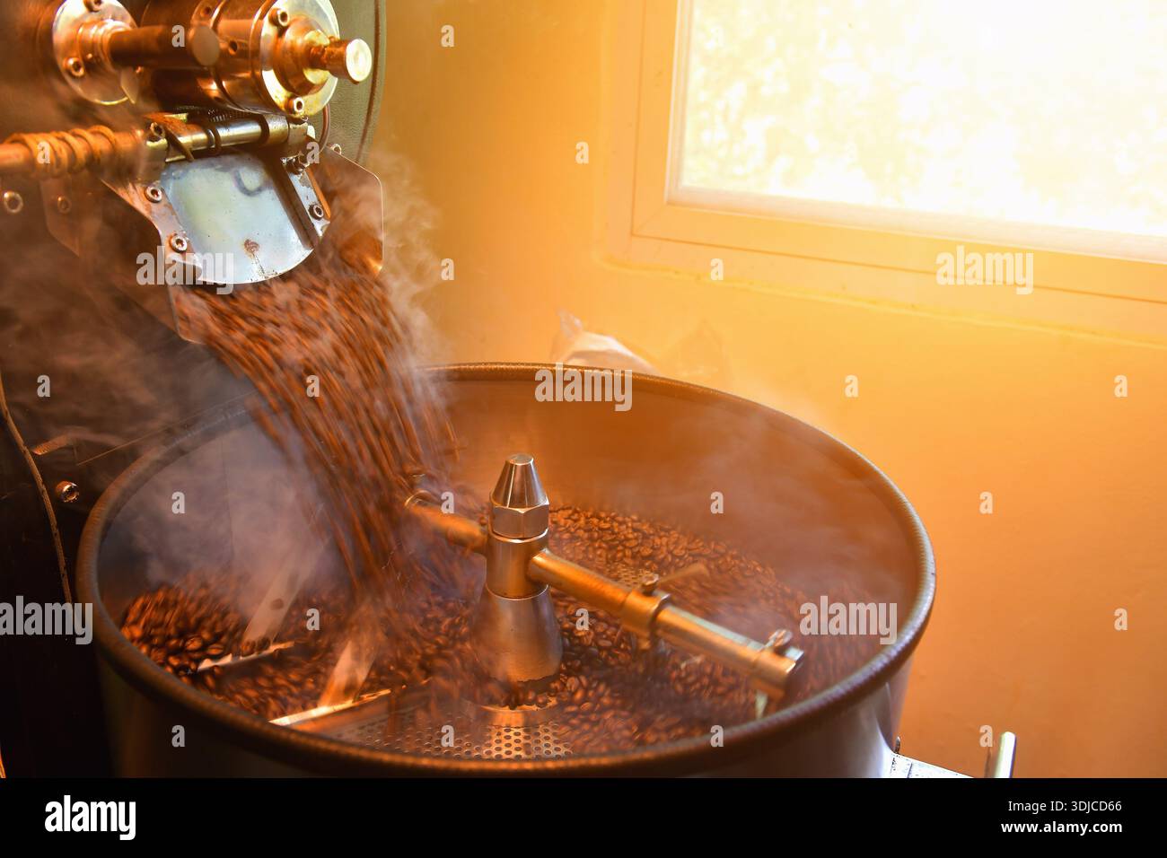Gros plan de torréfaction de grains de café dans une torréfaction d'usine, Thaïlande Banque D'Images