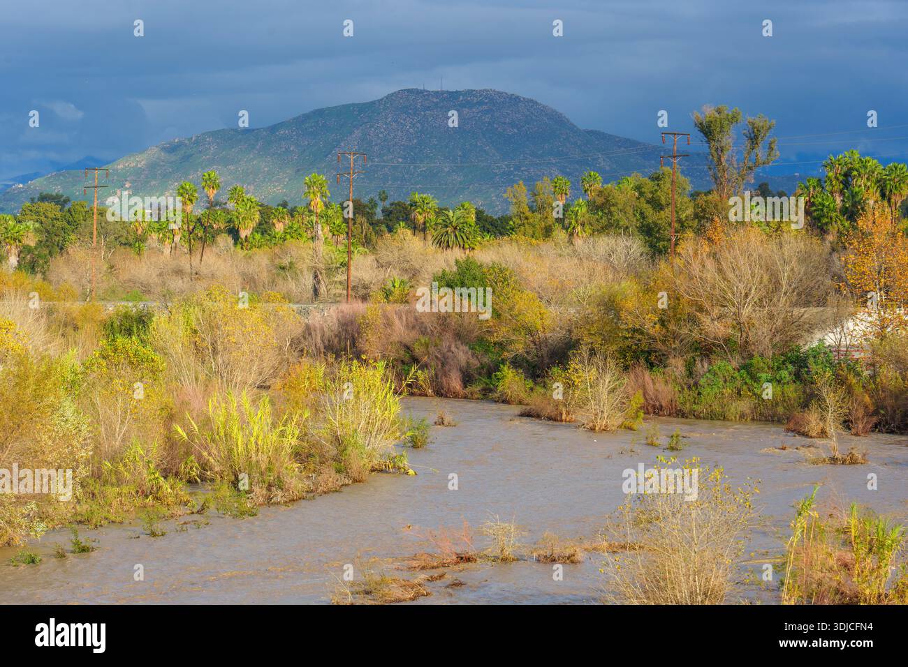 La splendeur naturelle de Riverside, Californie, comprend une rivière sinueuse, une végétation luxuriante et des poteaux électriques proéminents, situés contre l'emblématique Mont Rubidoux. Banque D'Images