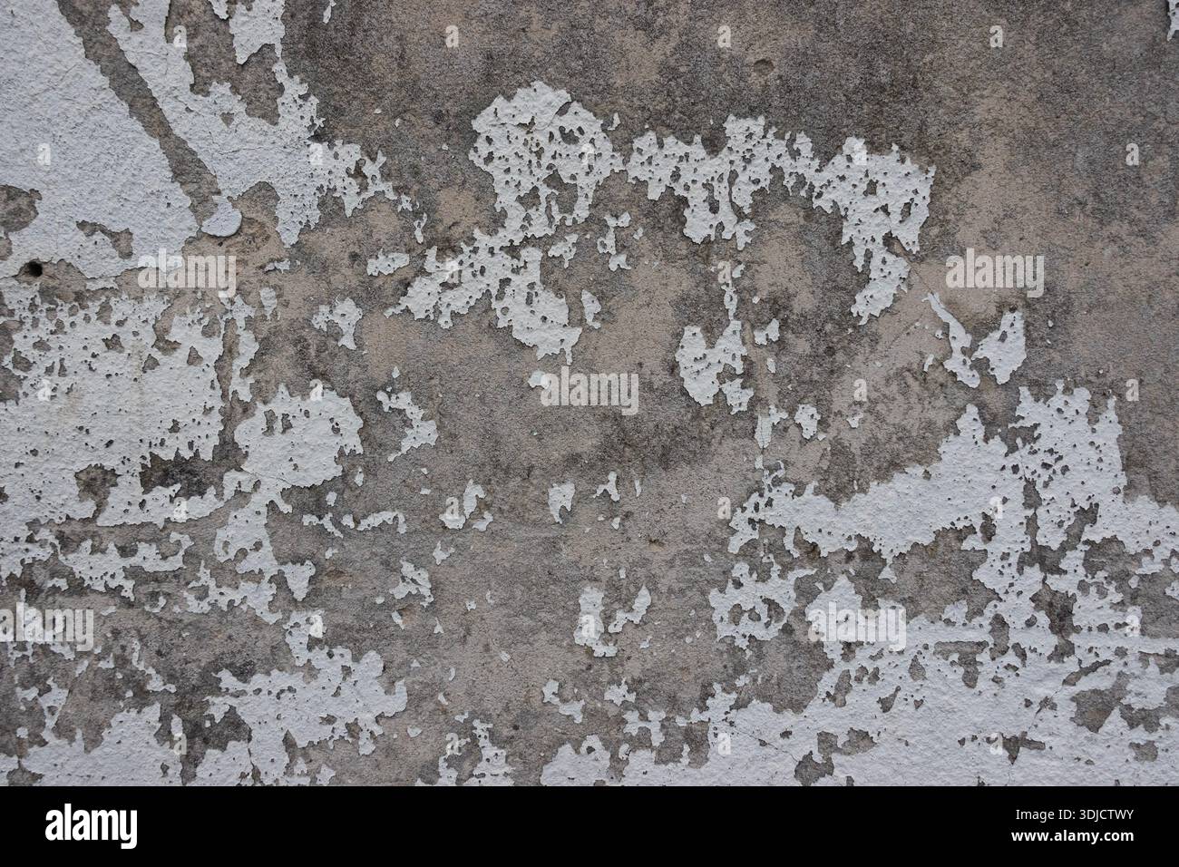 Mur gravement altéré par les intempéries avec de la peinture écaillée et du plâtre exposé créant un arrière-plan de texture granuleuse et vieillie Banque D'Images