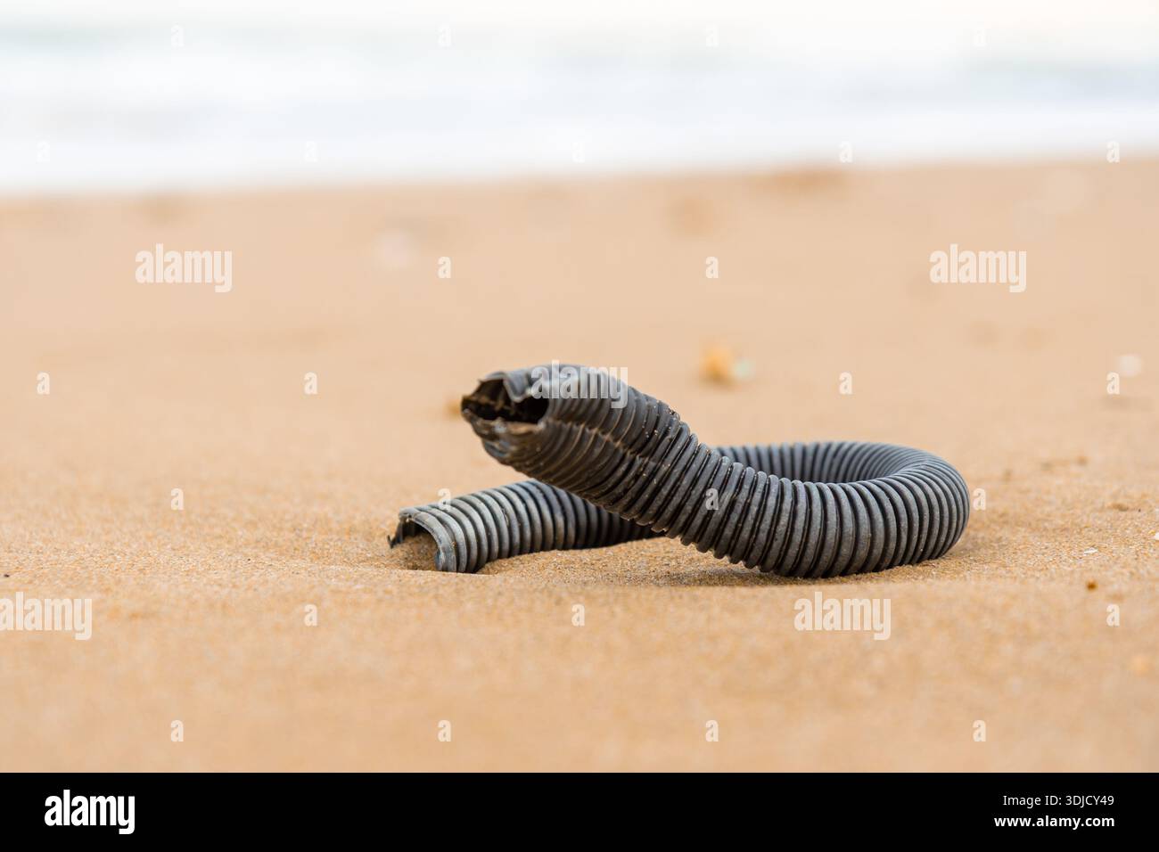 Un conduit en plastique flexible mis au rebut ou un tuyau ondulé ressemblant à un serpent se trouve sur une plage de sable, mettant en évidence la pollution plastique et l'impact humain sur Banque D'Images