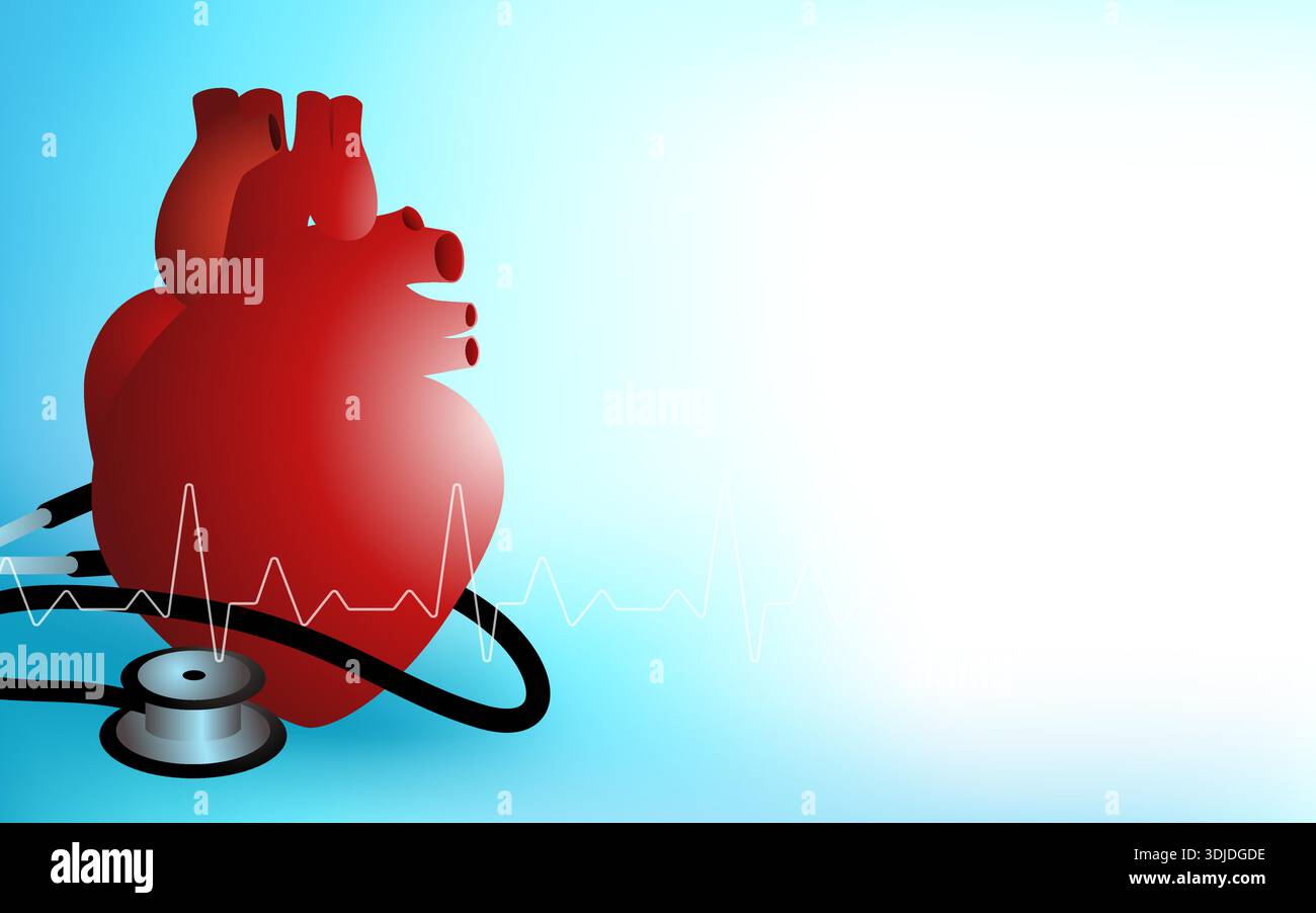 Cœur humain avec stéthoscope et ligne ECG. Modèle d'arrière-plan médical et de santé pour hôpital, médecin ou clinique. Illustration de Vecteur