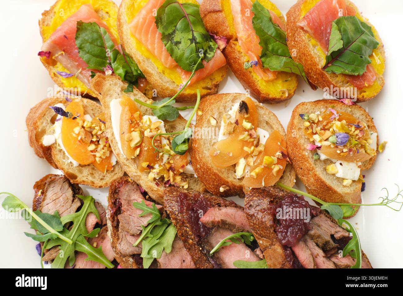 Canapés gastronomiques assortis avec saumon fumé, viandes salées et garnitures fraîches disposées magnifiquement sur un plateau, mettant en valeur la créativité culinaire et Banque D'Images