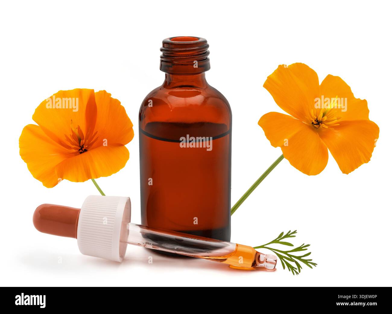 Fleur de pavot de Californie (Eschscholzia californica) à côté d'un récipient en verre avec extrait liquide naturel isolé sur blanc Banque D'Images