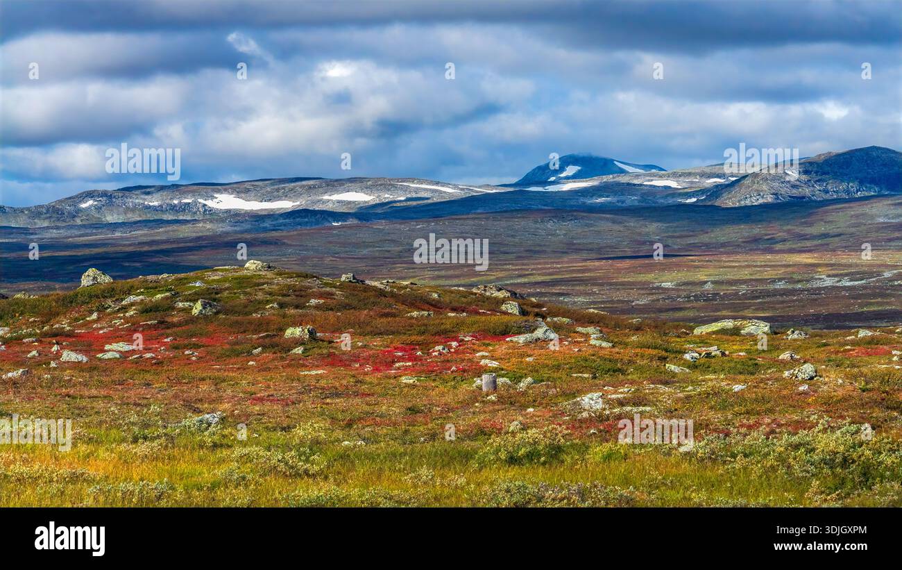 Vaste paysage sauvage avec des collines vallonnées avec des parcelles de neige, feuillage automnal coloré, et des rochers dispersés sous un ciel partiellement nuageux, évoque Banque D'Images
