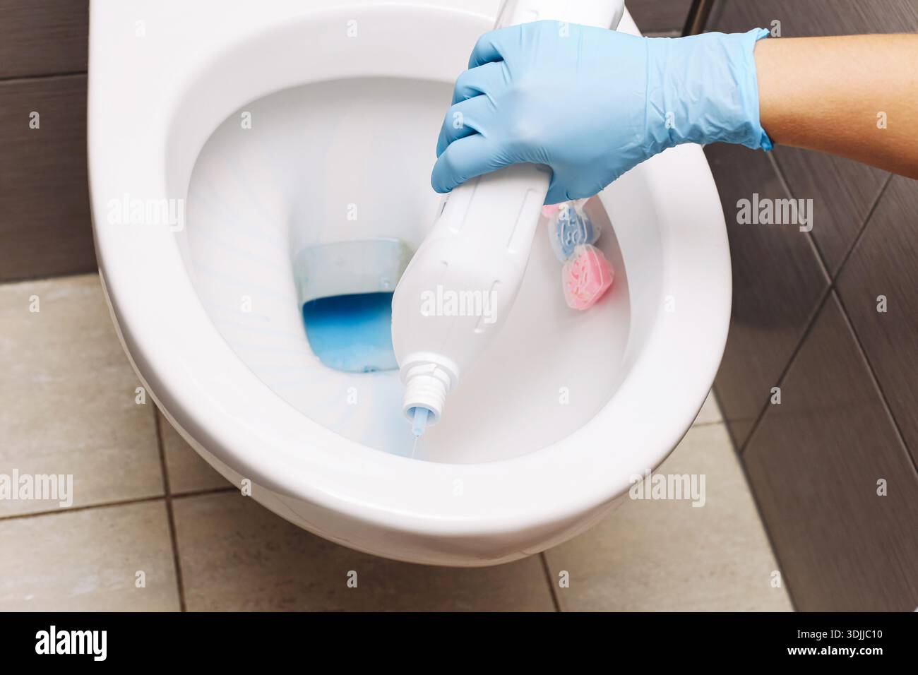 Nettoyage de la cuvette des toilettes avec un détergent gros plan. Routine d'hygiène de la salle de bain. Insérer le gant à l'aide d'un nettoyant. Concept d'assainissement domestique. Banque D'Images