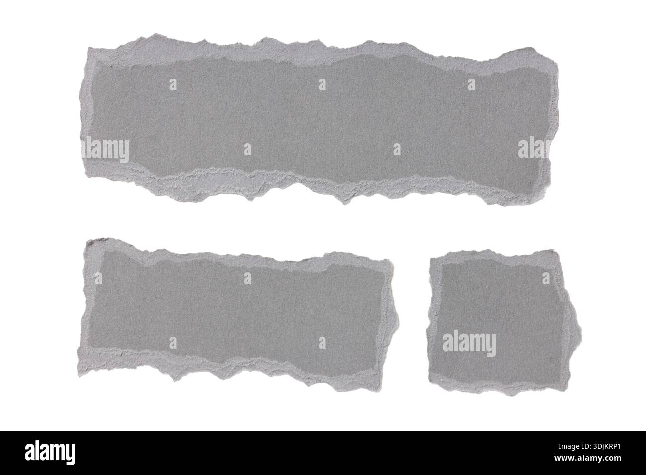 Ensemble de morceaux de papier déchiré gris avec des bords irés isolés sur fond blanc. Maquette de modèle Banque D'Images