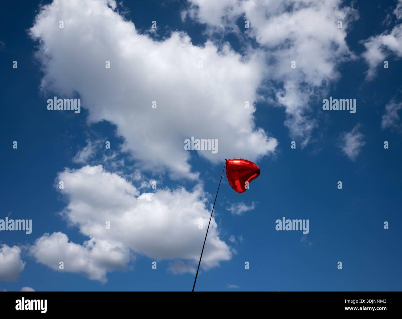 Un seul ballon en aluminium rouge en forme de coeur flottant contre un ciel bleu vif avec des nuages blancs moelleux par une journée ensoleillée Banque D'Images