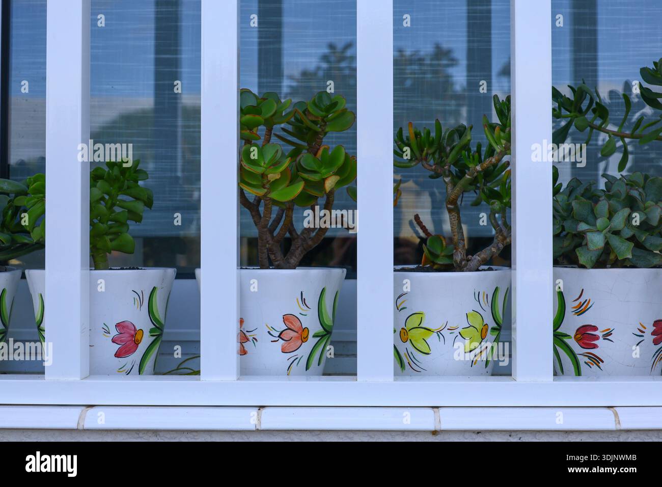 Plantes succulentes dans des pots peints derrière des barres blanches — détail de balcon décoratif avec reflets Banque D'Images
